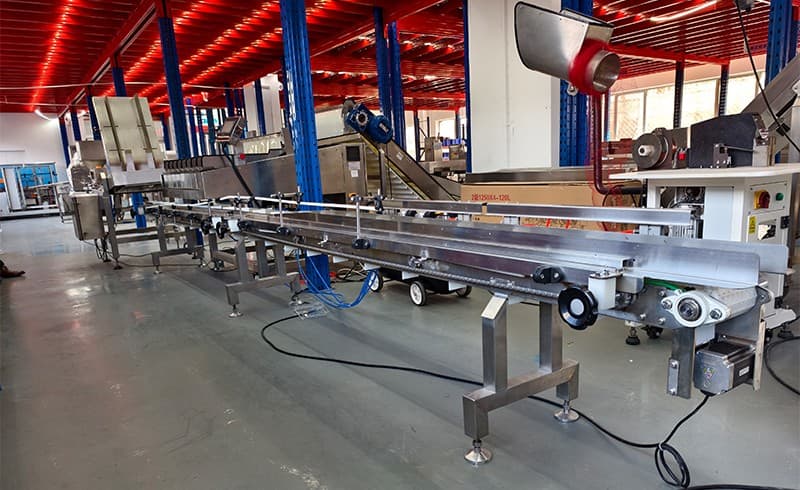 images/1742370285494máquina envasadora de arándanos.jpg